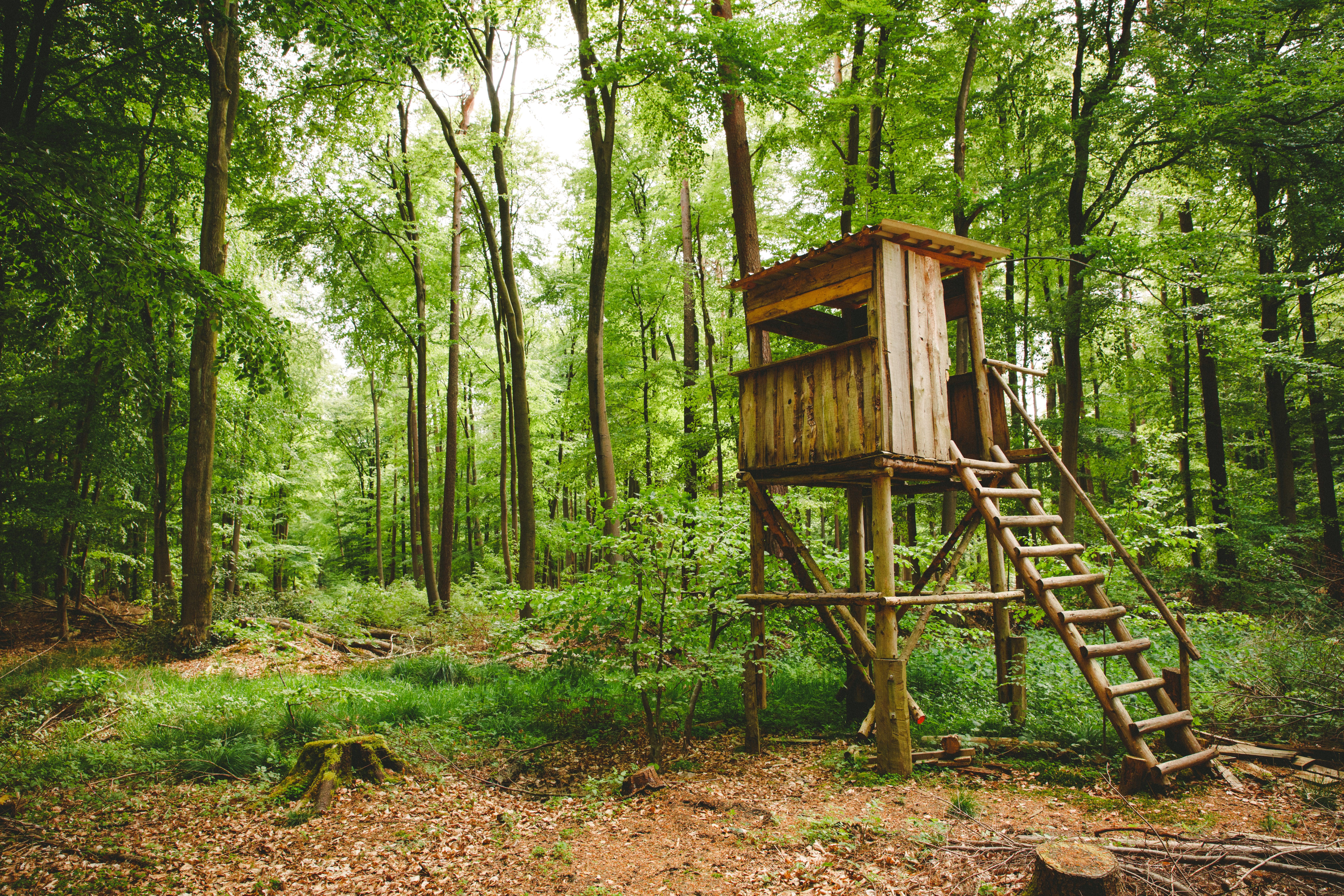 Hochstand im Wald