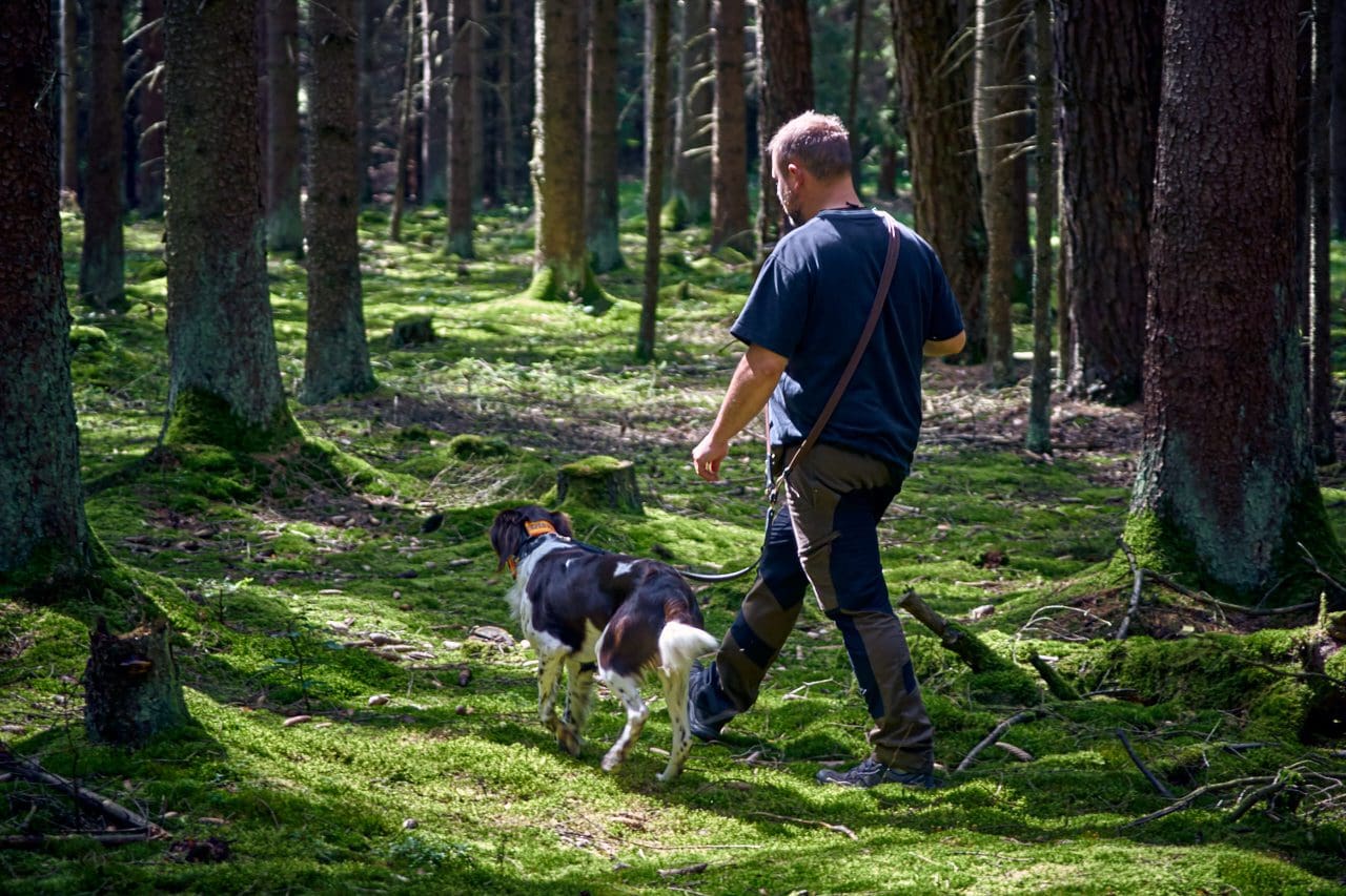 Hund bei der Arbeit